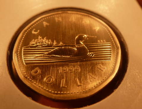 1999-Loonie-With-Pictures