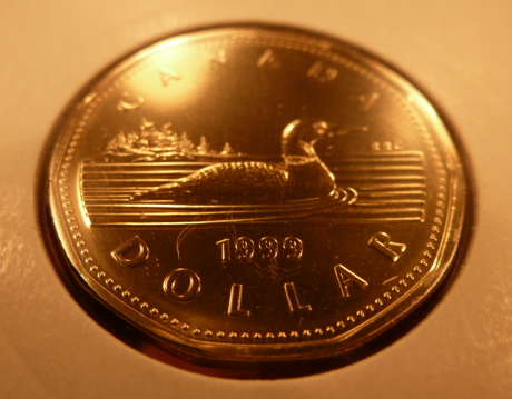 1999-Loonie-With-Pictures