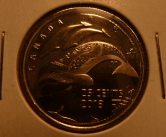 Arctic-Quarter