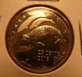 Arctic-Quarter