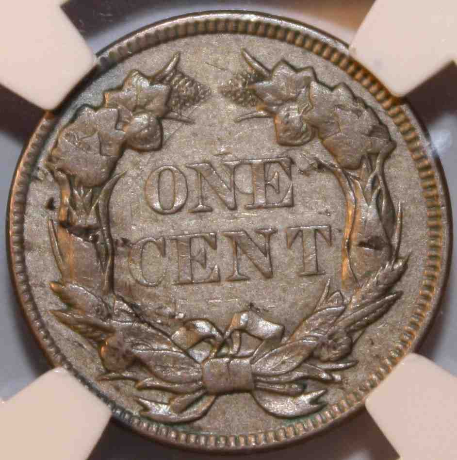The-51-Days-Of-Indian-Head-Cents-II-With-A-Fe-Cents-Prelude