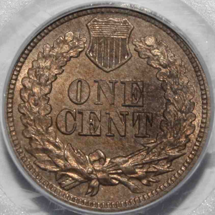 The-51-Days-Of-Indian-Head-Cents-II-With-A-Fe-Cents-Prelude