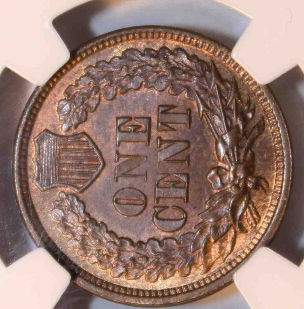 The-51-Days-Of-Indian-Head-Cents-II-With-A-Fe-Cents-Prelude