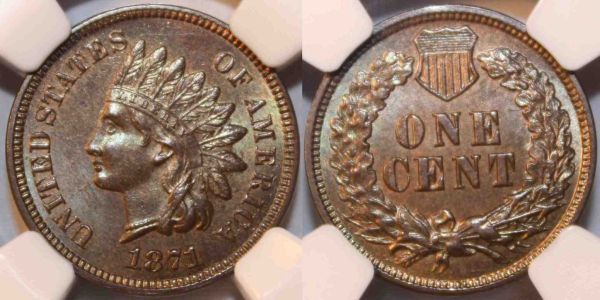 The-51-Days-Of-Indian-Head-Cents-II-With-A-Fe-Cents-Prelude