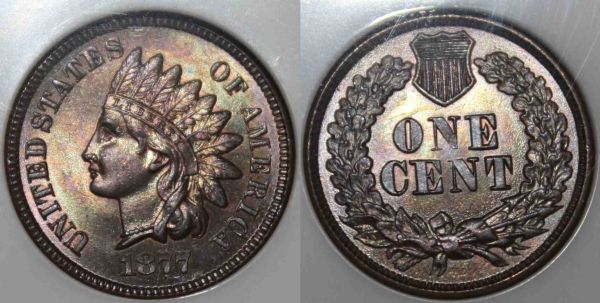 The-51-Days-Of-Indian-Head-Cents-II-With-A-Fe-Cents-Prelude