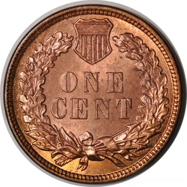 The-51-Days-Of-Indian-Head-Cents-II-With-A-Fe-Cents-Prelude