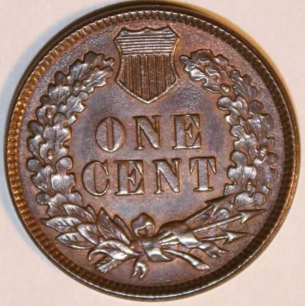 1890-Indian-Head-Cent.--You-Vs.-PCGS