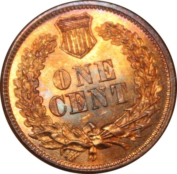 Show-Us-Your-Copper!