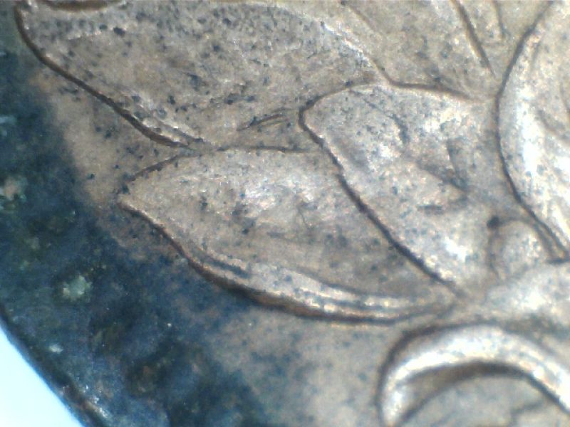 1883-Indian-Cent-Doubled-Die-Reverse-S-6
