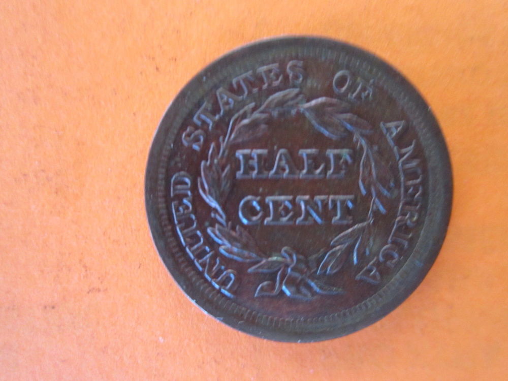Took-A-Gamble-On-Ebay-Photos...