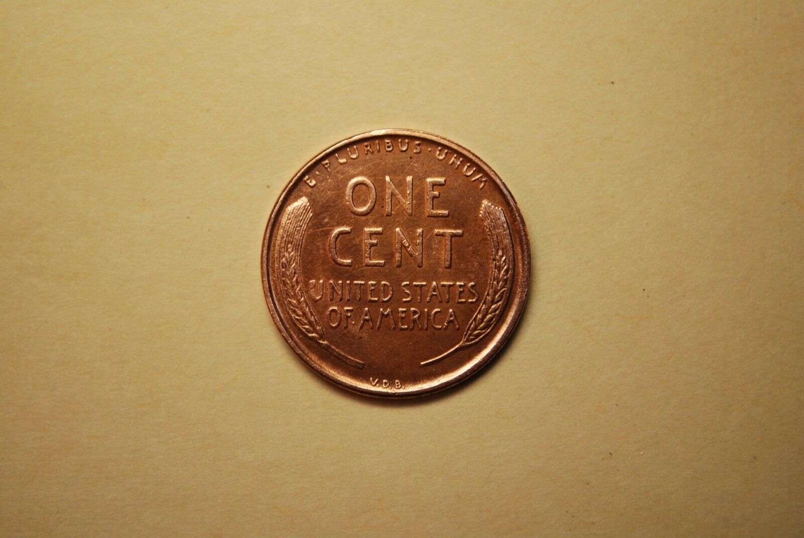 Another-Fake-1877-Indian-On-Ebay