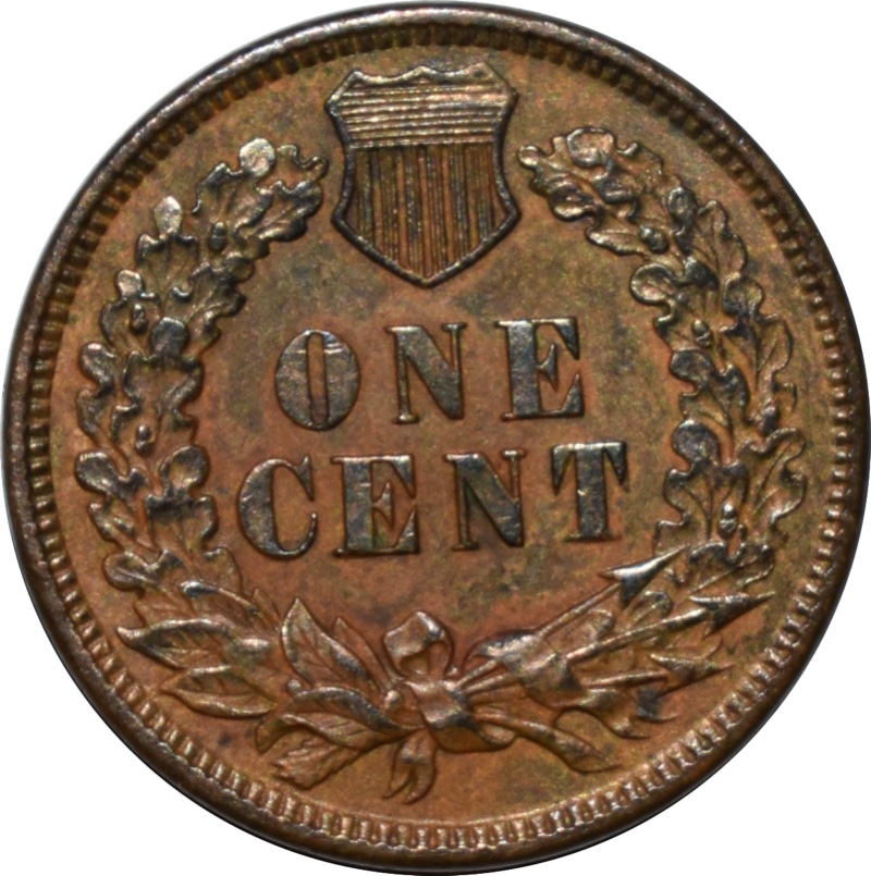 1882-Snow-6-MPD-Indian-Head-Cent