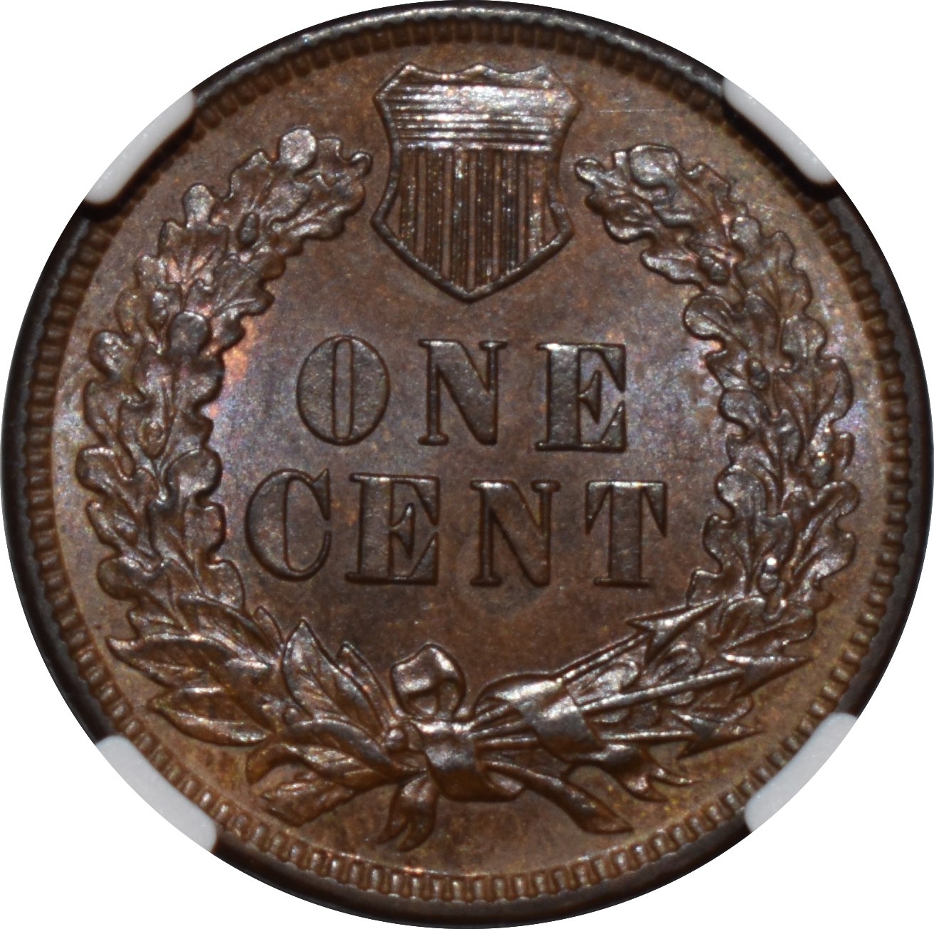 1882-Snow-6-MPD-Indian-Head-Cent