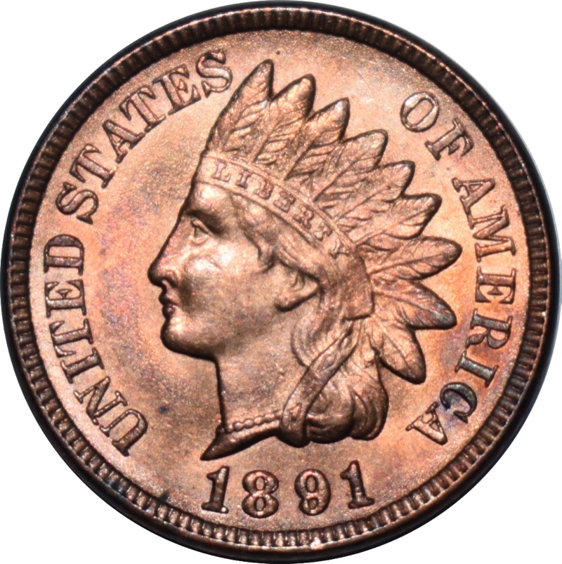 A-Nice-Cherrypick!-Please-Grade-This-1891-Indian-Head-Cent.