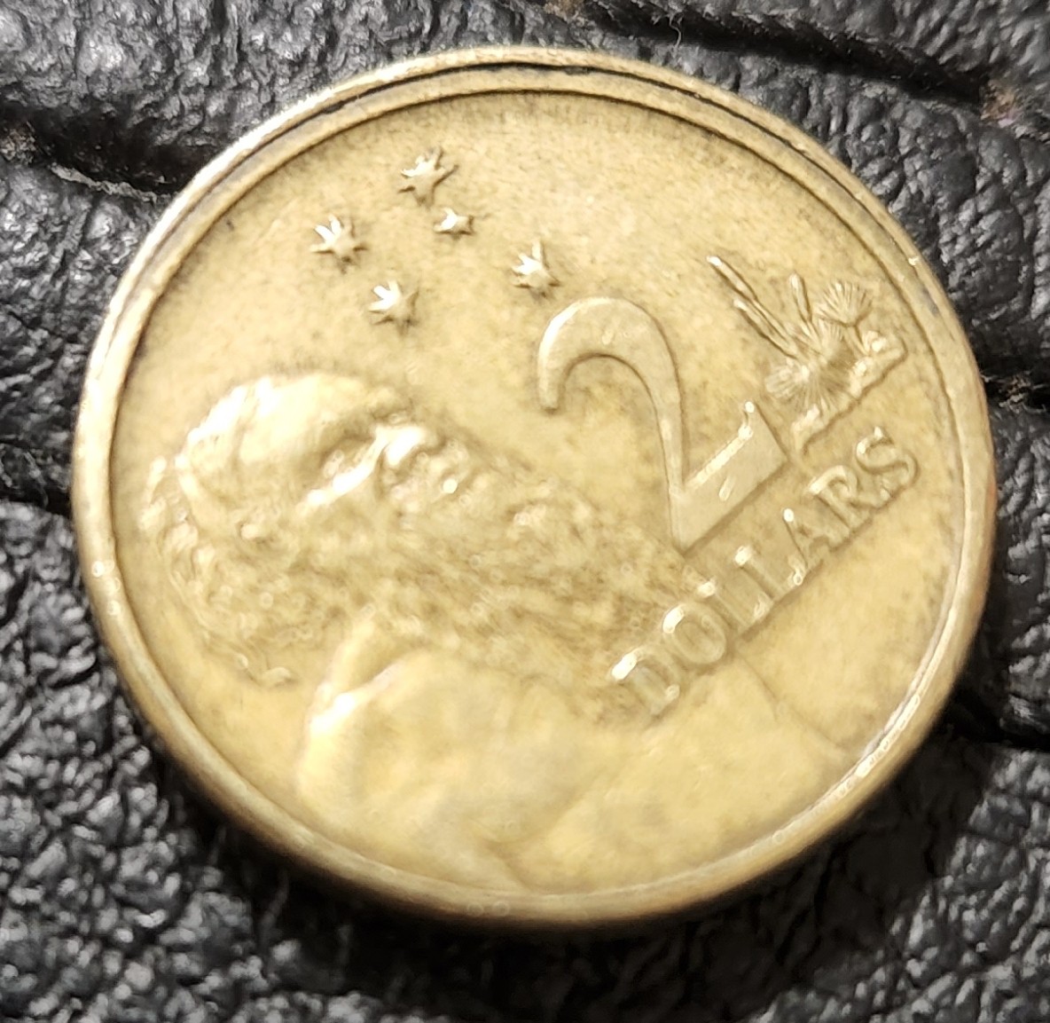 Many-Errors-On-This-$2,-What-Do-You-Think?