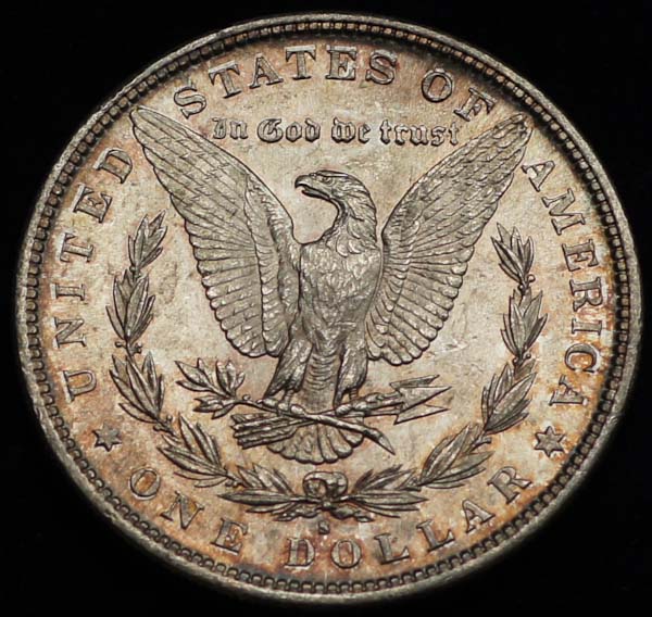 1882-S-Morgan:-Not-Rare,-But-Exceptional--Please-Help!