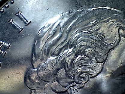 2013-Nickel-Bad-Hair-Day!