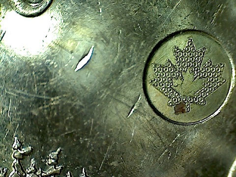 2013-Loonie-?