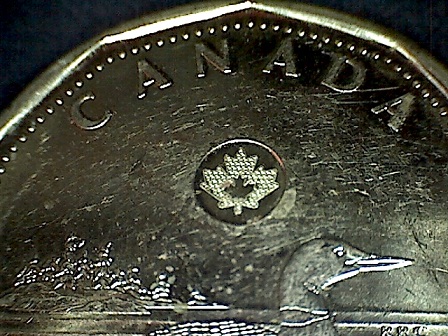 2013-Loonie-?