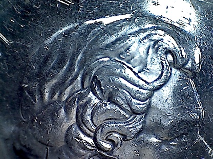 2012-Nickel-Marking-On-Head?