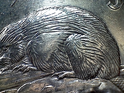 2013-Bare-Legged-Beaver.