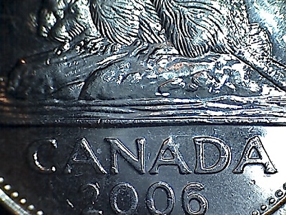 2006-Nickel-With-Dot-On-Beaver's-Face---How-Common-Is-This?