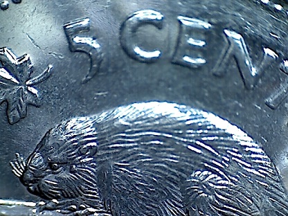 2006-Nickel-With-Dot-On-Beaver's-Face---How-Common-Is-This?