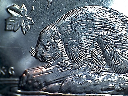 2006-Nickel-With-Dot-On-Beaver's-Face---How-Common-Is-This?