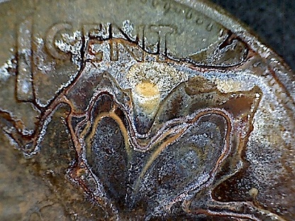 1971-Rusted-Penny?