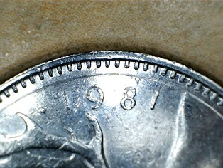 1981-Quarter-Short-1?