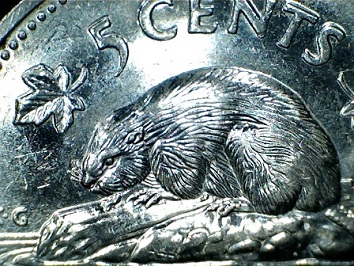 1995-Five-Cent-Spot-On-Ear?