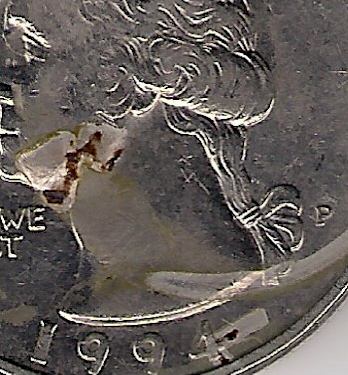1994-P-Quarter,,-Not-Sure