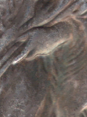 Repost-Of-Silver-Eagles