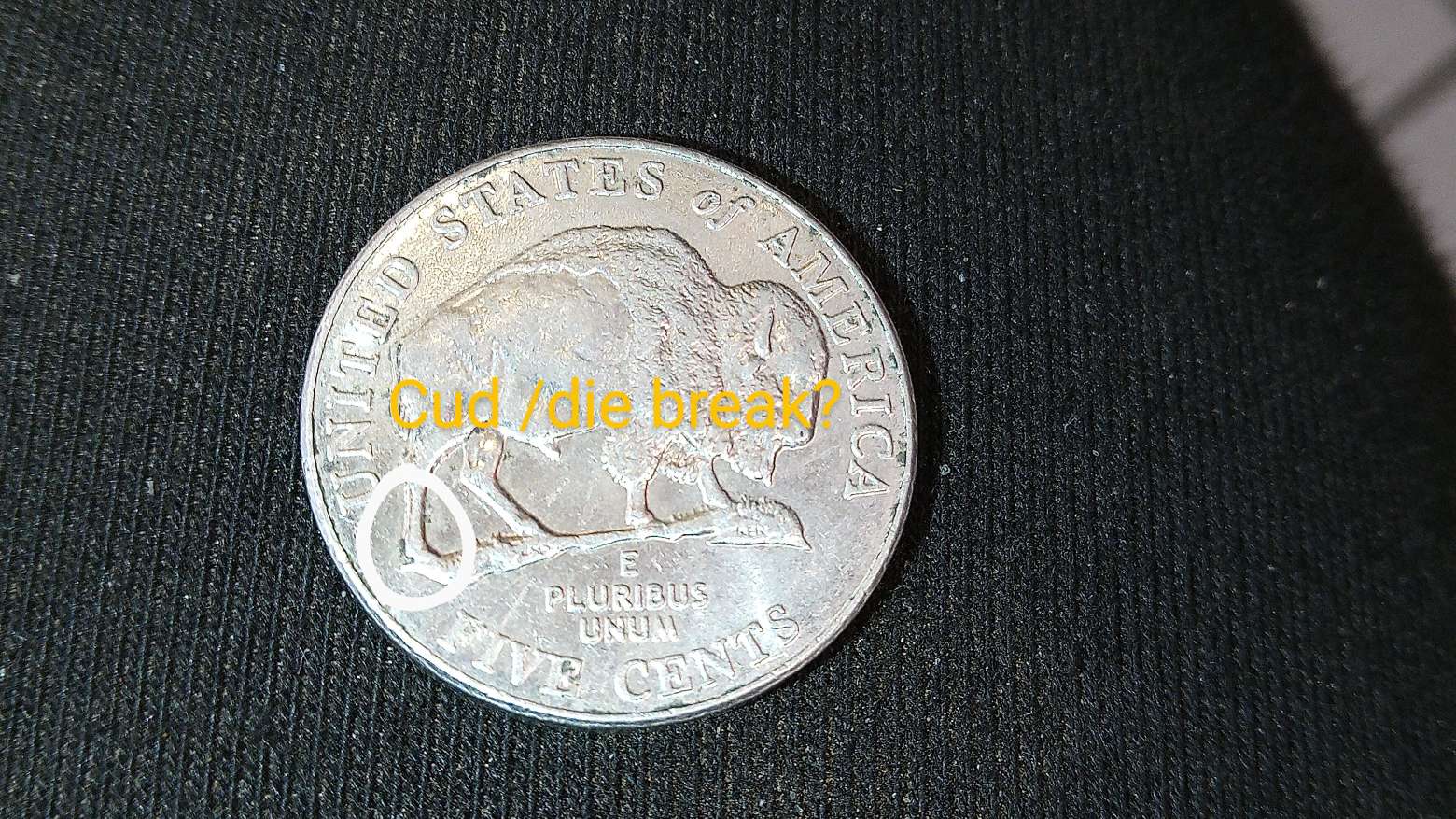 2005-Buffalo-Nickel-Detach-Leg-Syndrome?