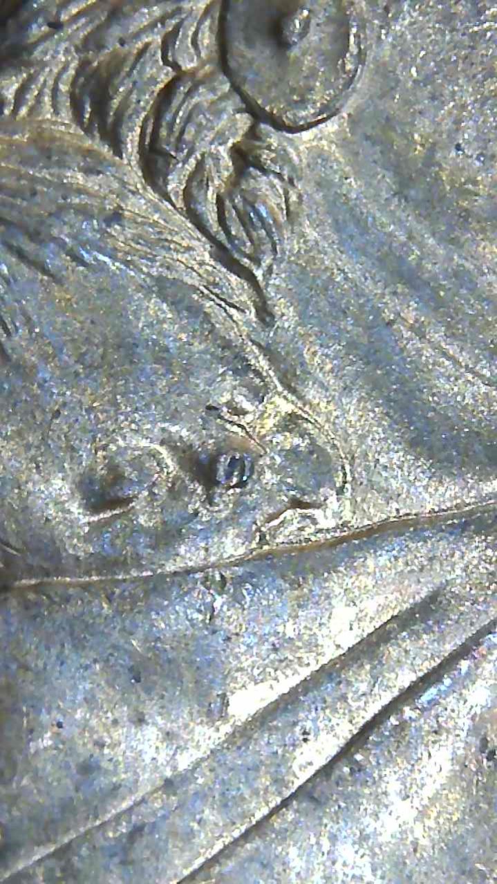 2000-P-Sacagawea-Dollar,-