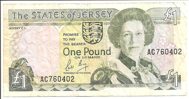 Question-About-Old-Irish-Pounds....
