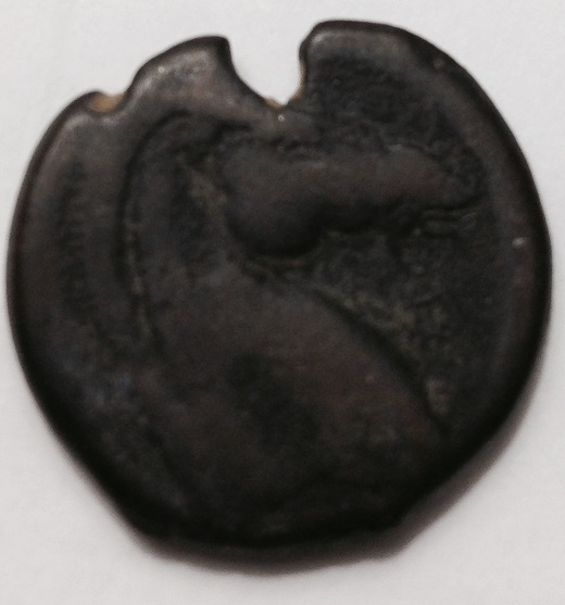 What-Is-This-A-Coin-Or-Token?