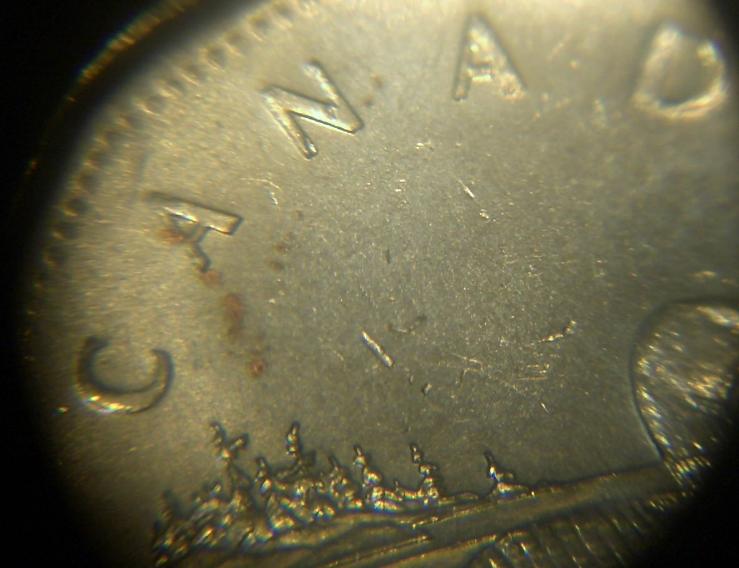 2007-Loonie---Unplated-:-Is-This-An-Error-?