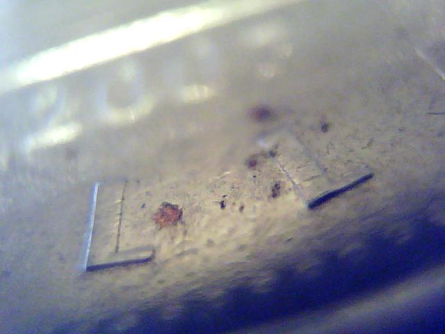 2007-Loonie---Unplated-:-Is-This-An-Error-?