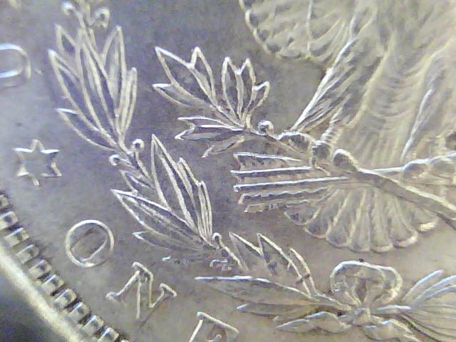 1900-Morgan---Need-Help-With-Basics