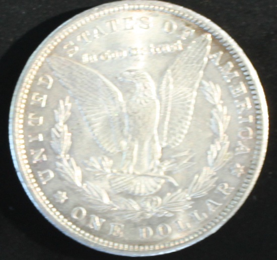 1900-Morgan---Need-Help-With-Basics