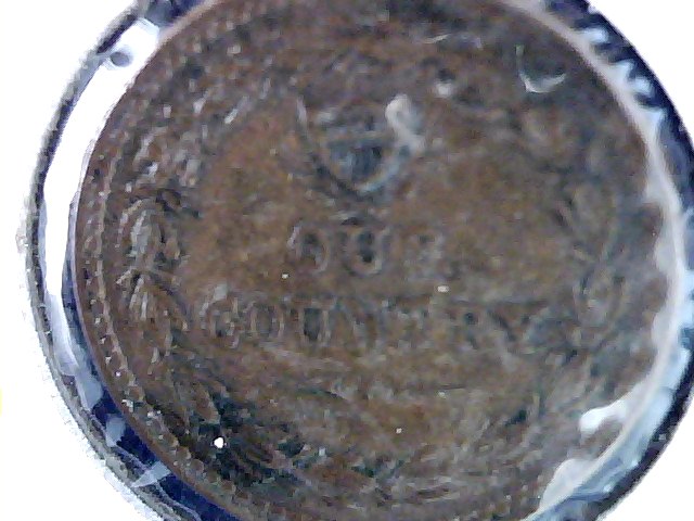 Civil-War-Token-?-Mule-?