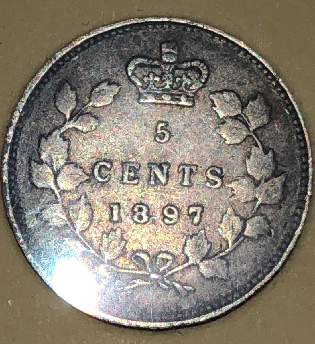 Starting-A-Canada-Silver-Dollar-Collection...-Thoughts?