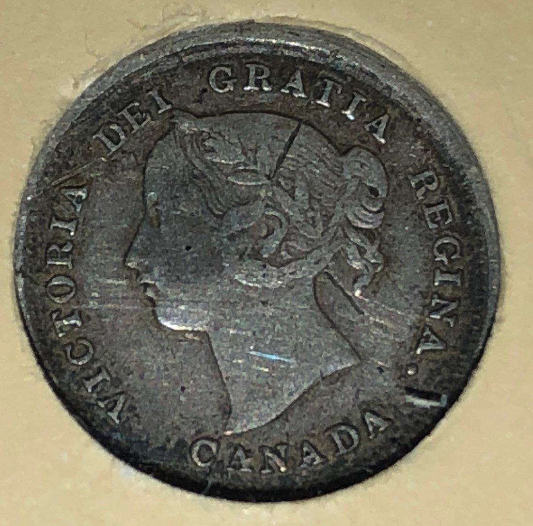 Starting-A-Canada-Silver-Dollar-Collection...-Thoughts?