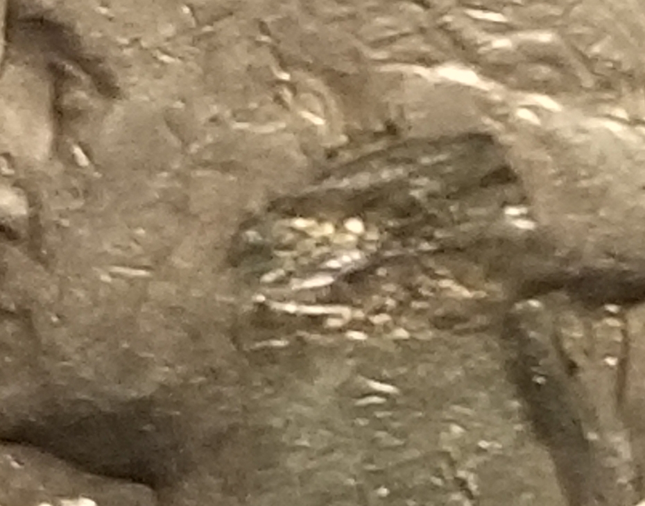 1965-&-1980-D-Quarter-Error---No-Ear
