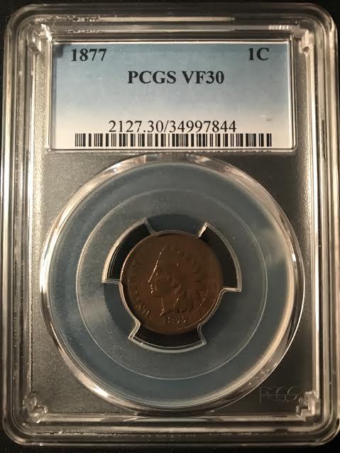 1877-IHC-For-Grading