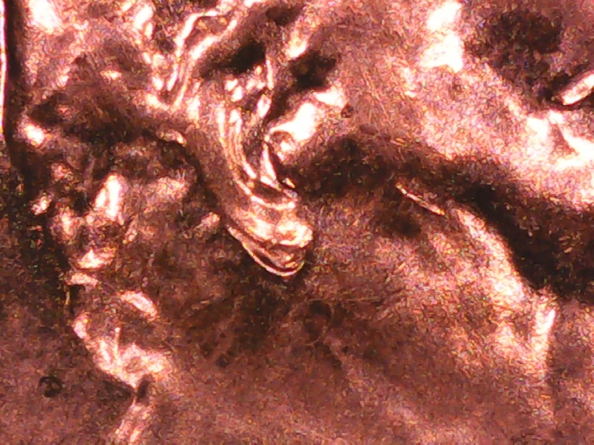 2024-D-Lincoln-Penny-Doubled-Ear