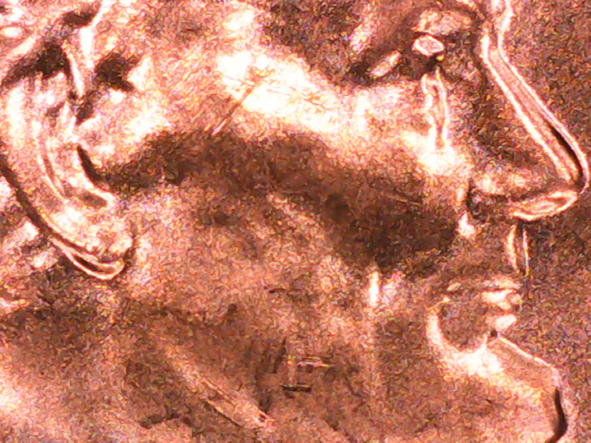 2024-D-Lincoln-Penny-Doubled-Ear