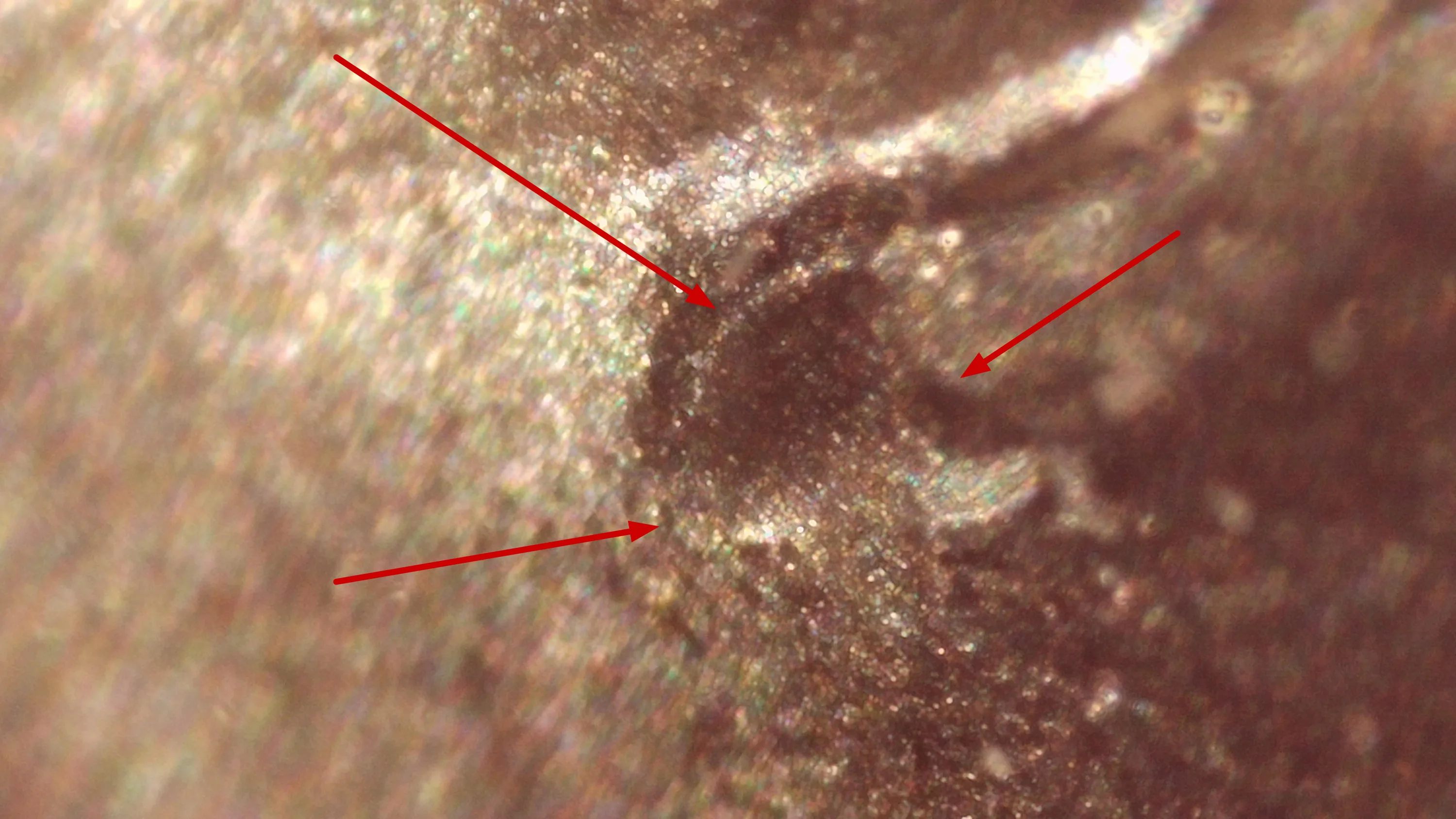 2024-D-Kennedy-Half-Dollar---Raised-Star-On-Obverse