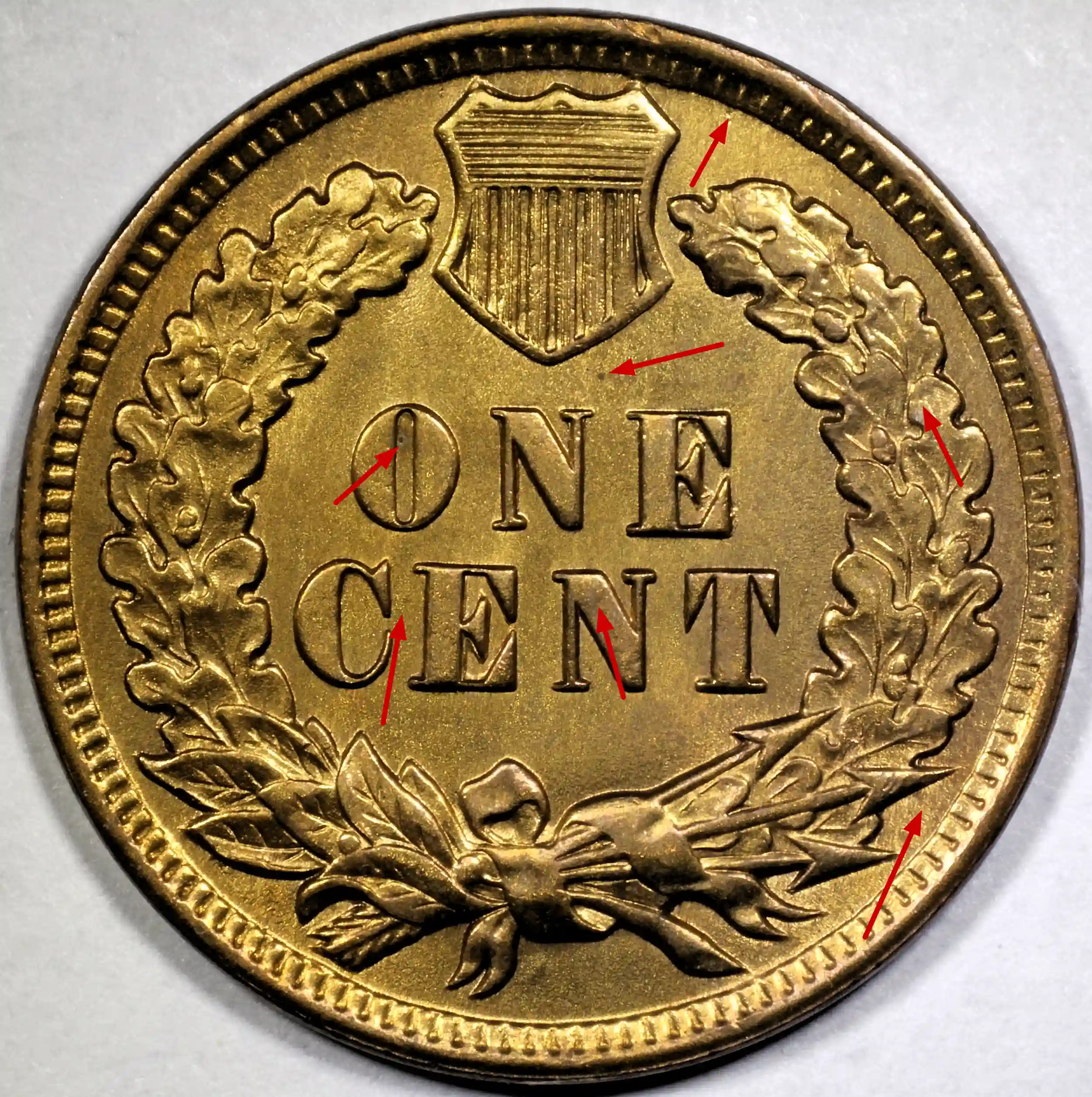 1908-Indian-Cent---Grade-Opinion